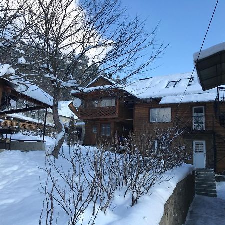 야렘체 Під Лісом У Гіда 빌라 외부 사진